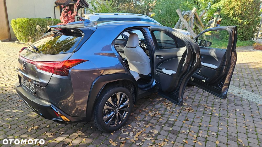 Lexus UX 250h GPF F Sport Design 2WD - 19