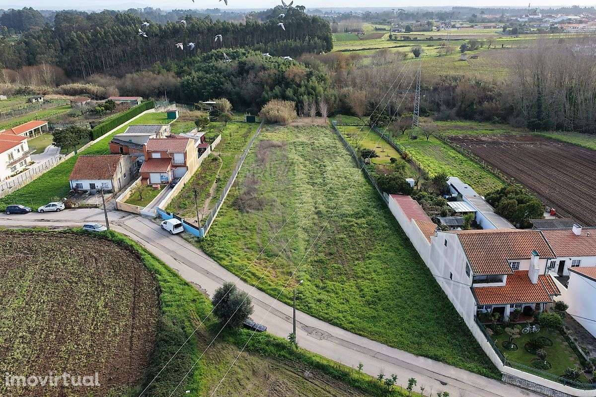 Terreno  para venda - Grande imagem: 5/39