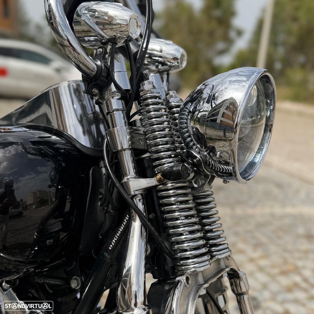 Harley-Davidson Heritage HERITAGE CLASSIC SPRINGER - 17