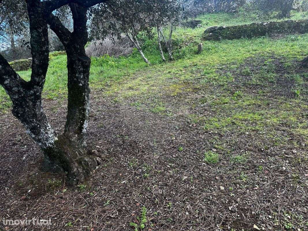 Terreno  para venda - Grande imagem: 2/15