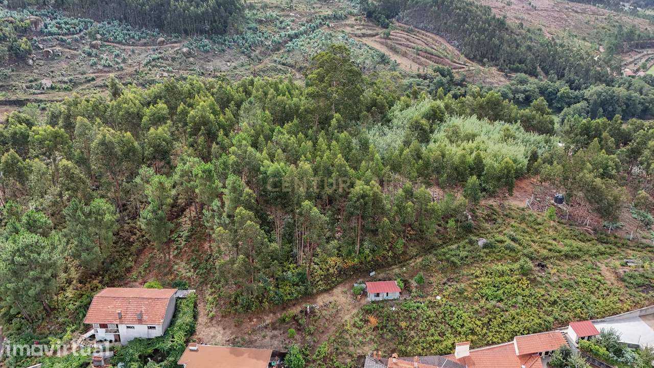 Venda de Terreno Rústico – Excelente Potencial para Projeto Fotovoltai - Grande imagem: 3/14