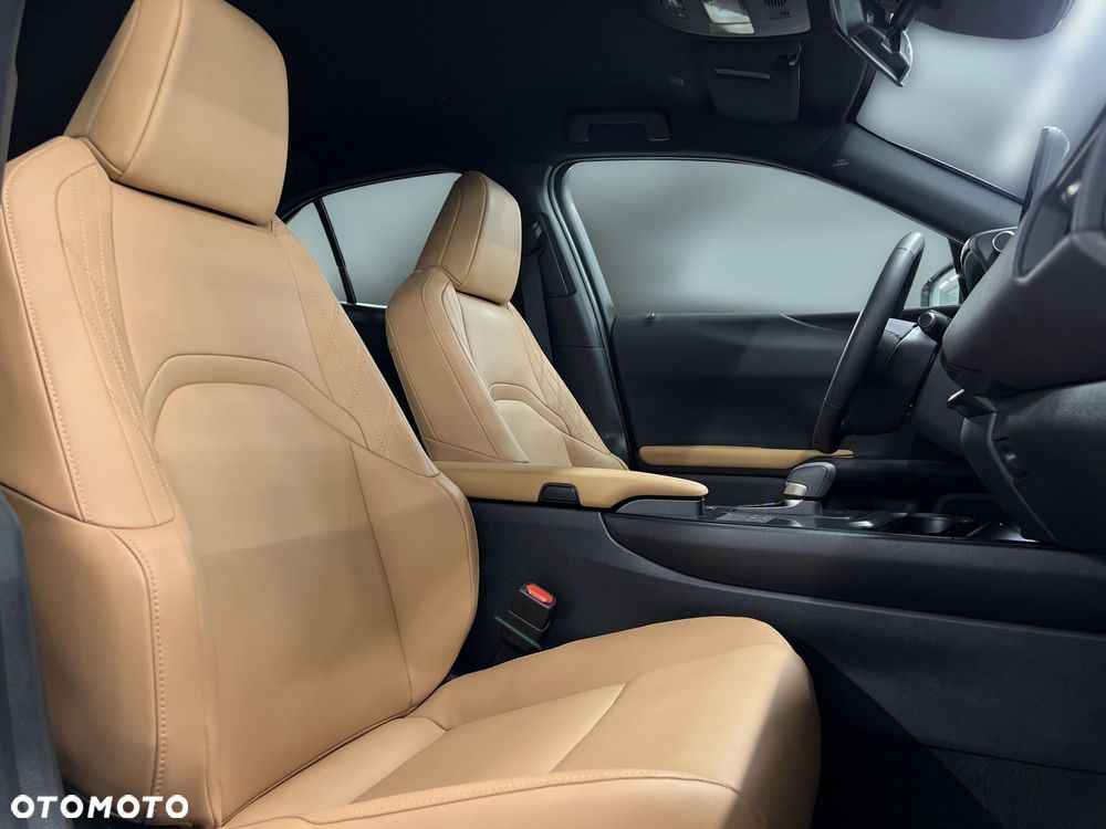 Lexus UX - 12