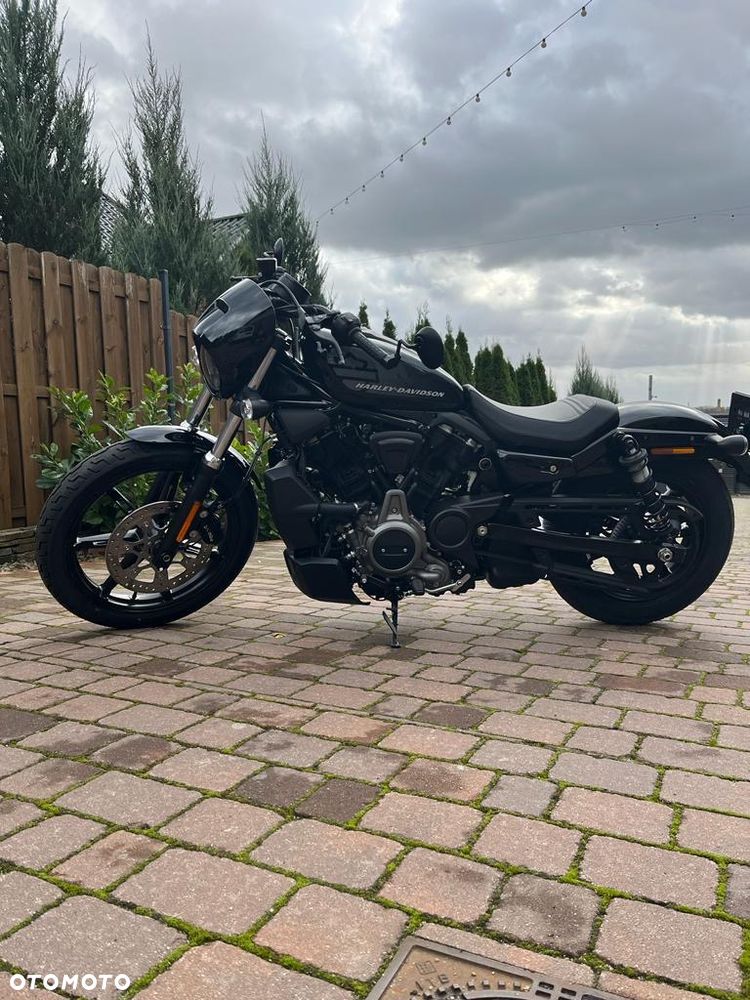 Harley-Davidson Sportster Nightster 975 - 3