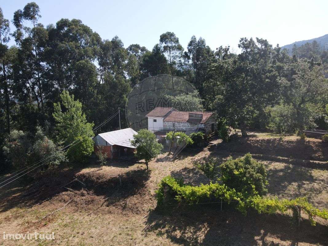 Quinta  para venda - Grande imagem: 5/23