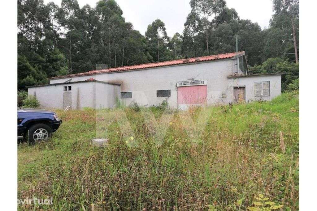 Terreno + Armazém  com 3030 m2, Localizado em Santana, Freguesia de S. - Grande imagem: 3/29