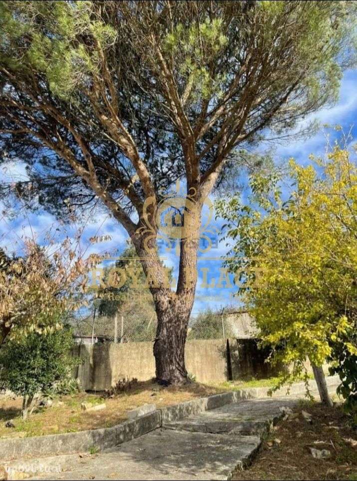 Terreno p/ Construção São Roque - Grande imagem: 4/7