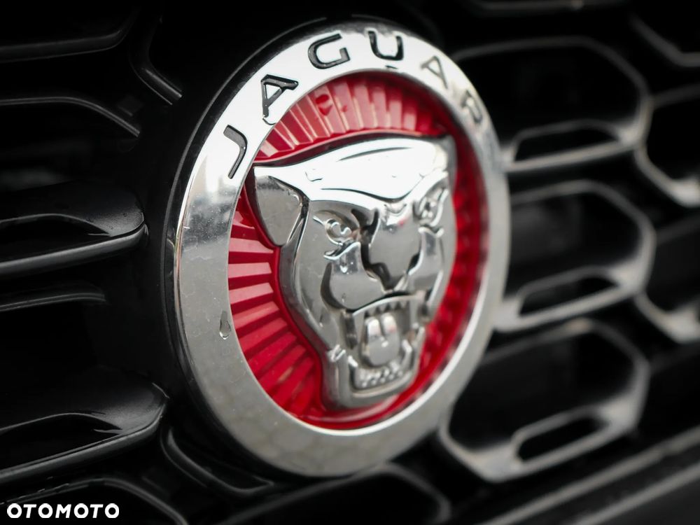 Jaguar F-Type P300 R-Dynamic - 6