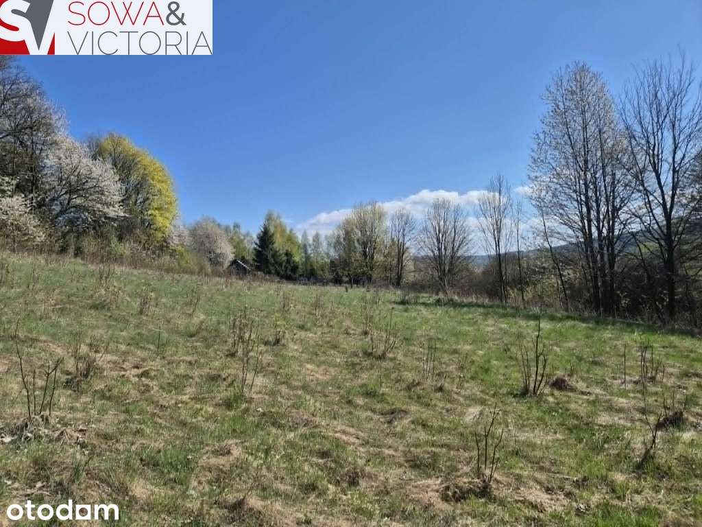 Malownicza działka mieszkaniowo-rekreacyjna. - Pełny obrazek: 4/12
