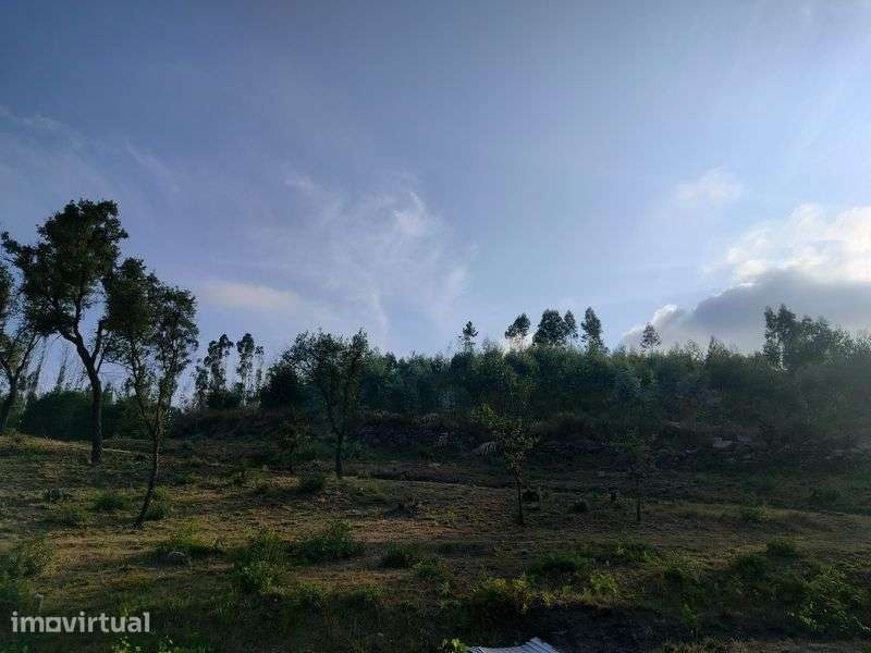terreno para viver em off grid - Grande imagem: 3/12