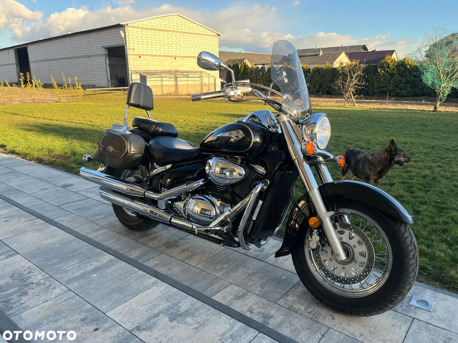 Suzuki VL 800 Volusia - 1