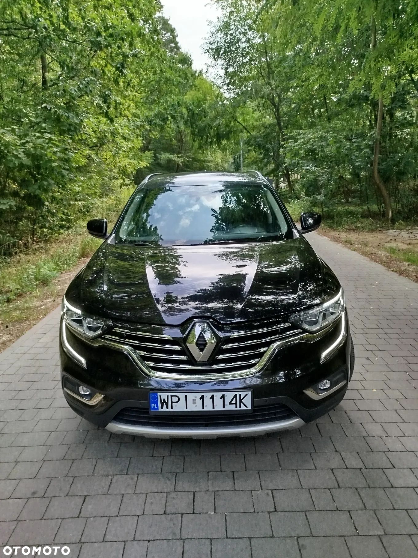 Renault Koleos 1.6 dCi Intens - 1