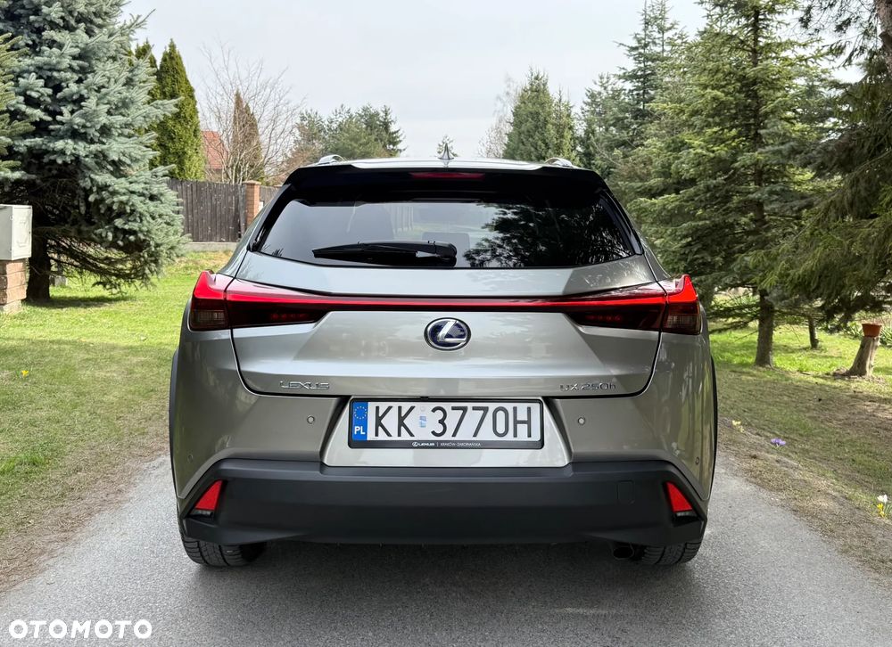 Lexus UX 250h GPF F Sport Design 2WD - 9
