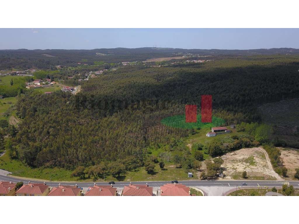 Terreno com Viabilidade de Construção em Asseiceira - Rio Maior***R... - Grande imagem: 4/14