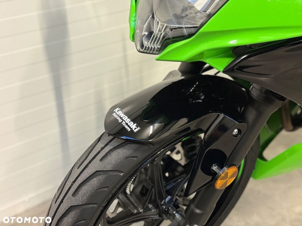 Kawasaki Ninja - 23