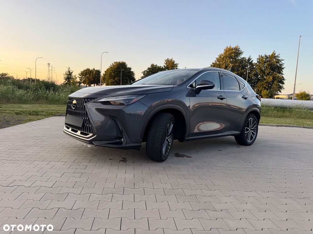 Lexus NX 350h Omotenashi AWD - 2