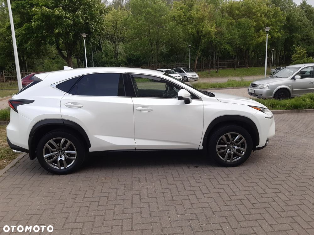 Lexus NX - 10