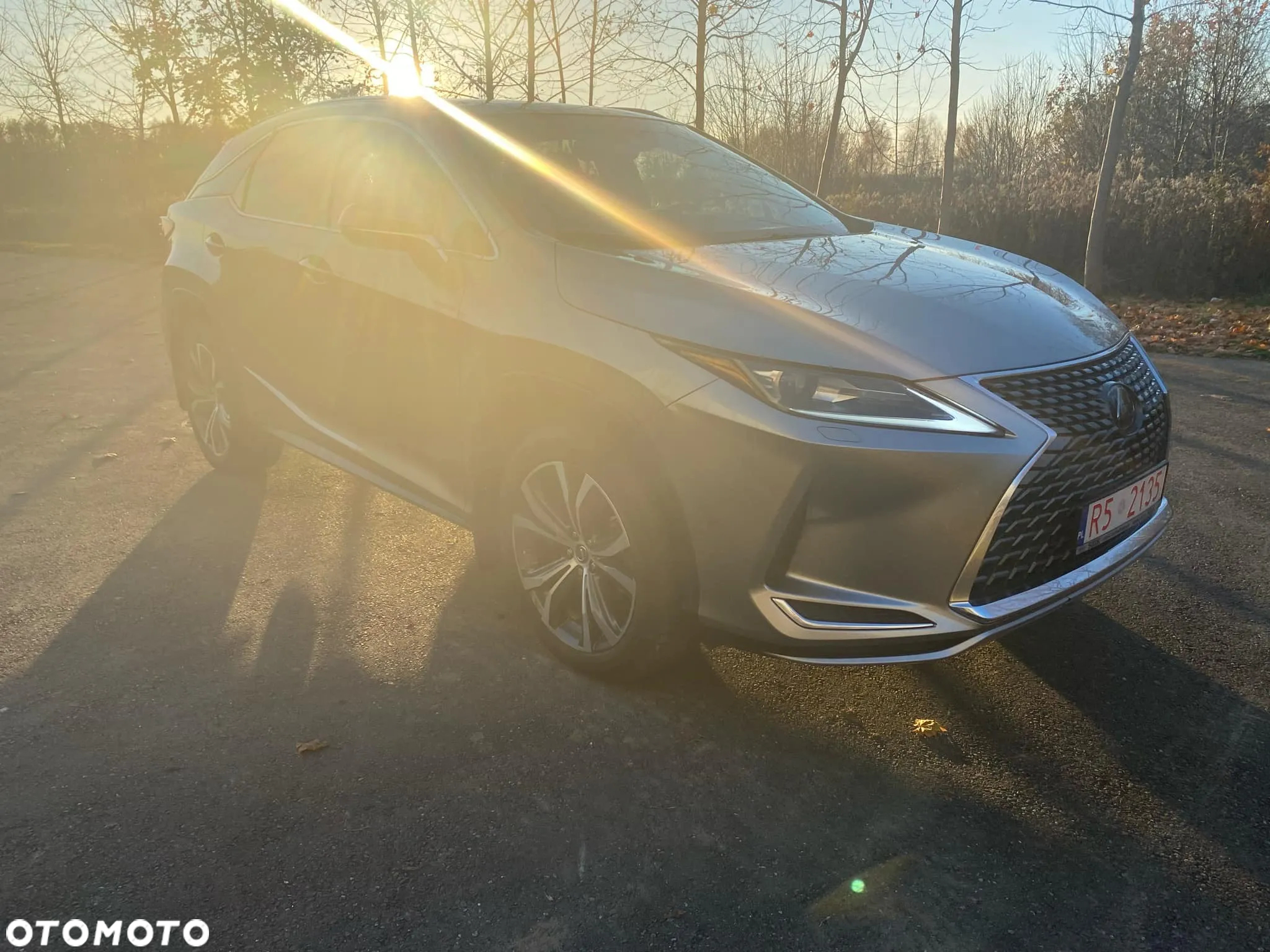 Lexus RX - 18