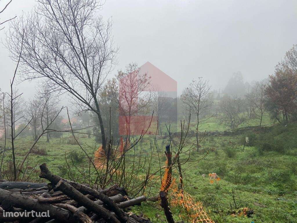 Terreno agrícola, Barros - Grande imagem: 3/14