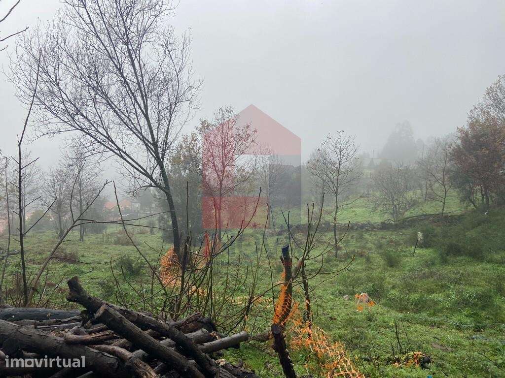 Terreno agrícola, Barros - Grande imagem: 3/14