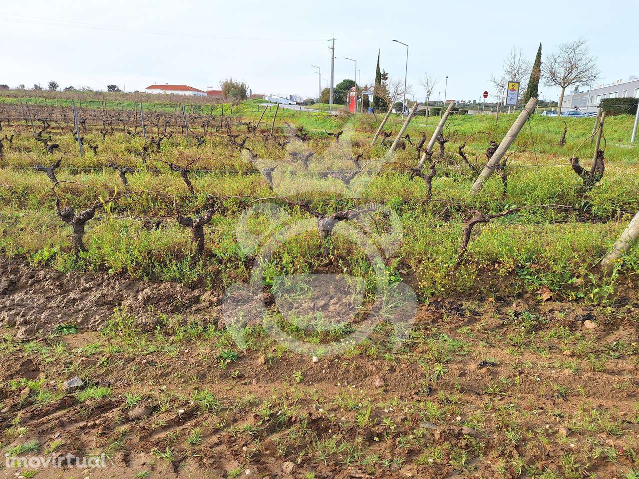 Terreno no Perímetro rega c/ possibilidade construção - Grande imagem: 2/13