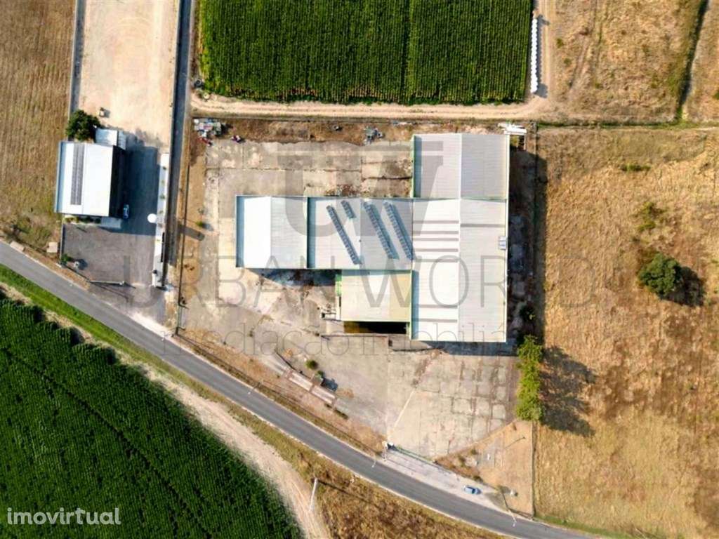 Armazém, Salvaterra de Magos - Santarém, 3.026 m2 - Grande imagem: 2/30