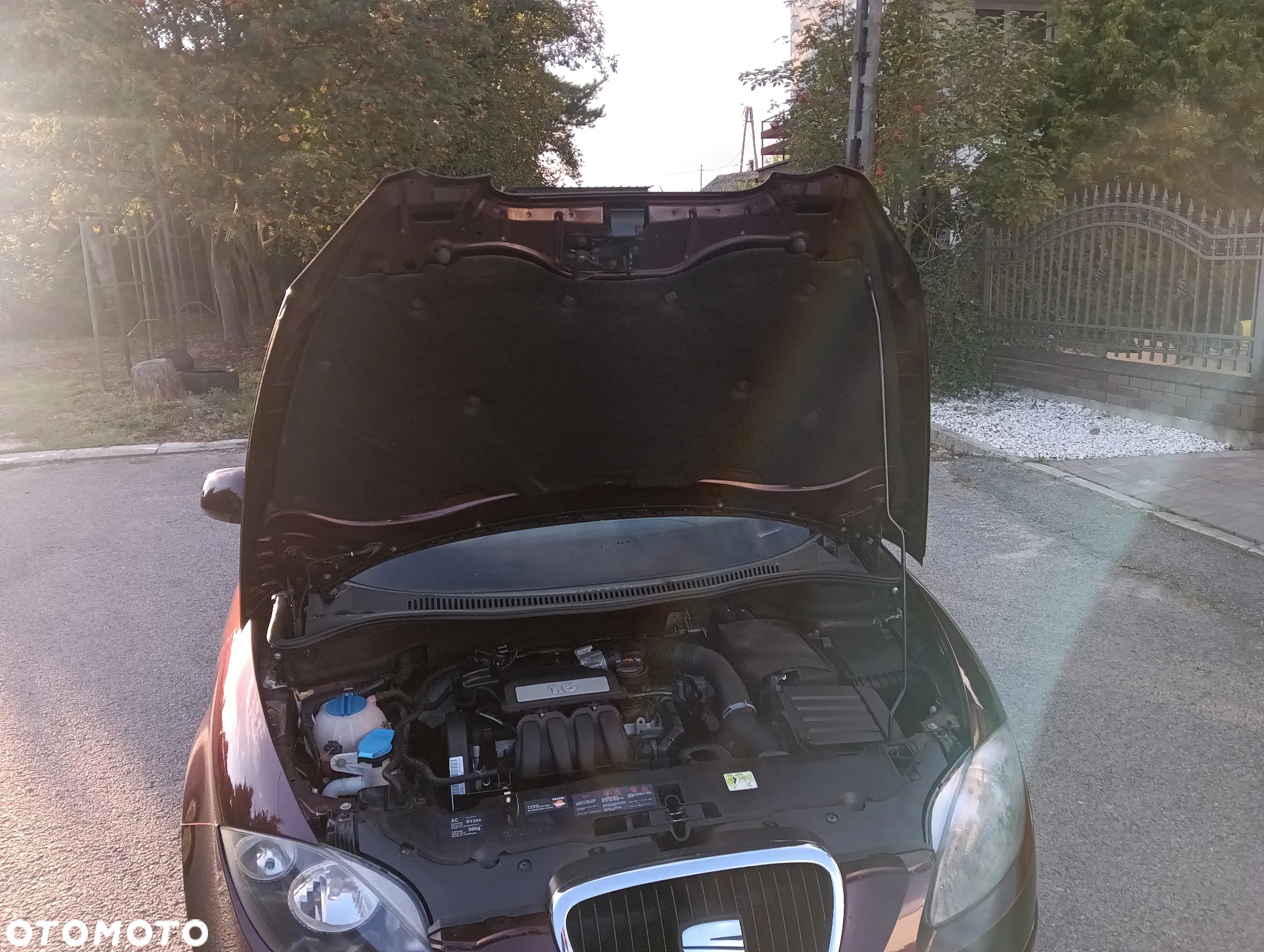 Seat Altea XL 1.6 Stylance - 33