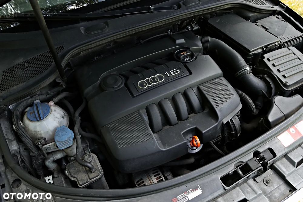 Audi A3 3-drzwiowe 1.6 S Line Sportpaket plus - 40