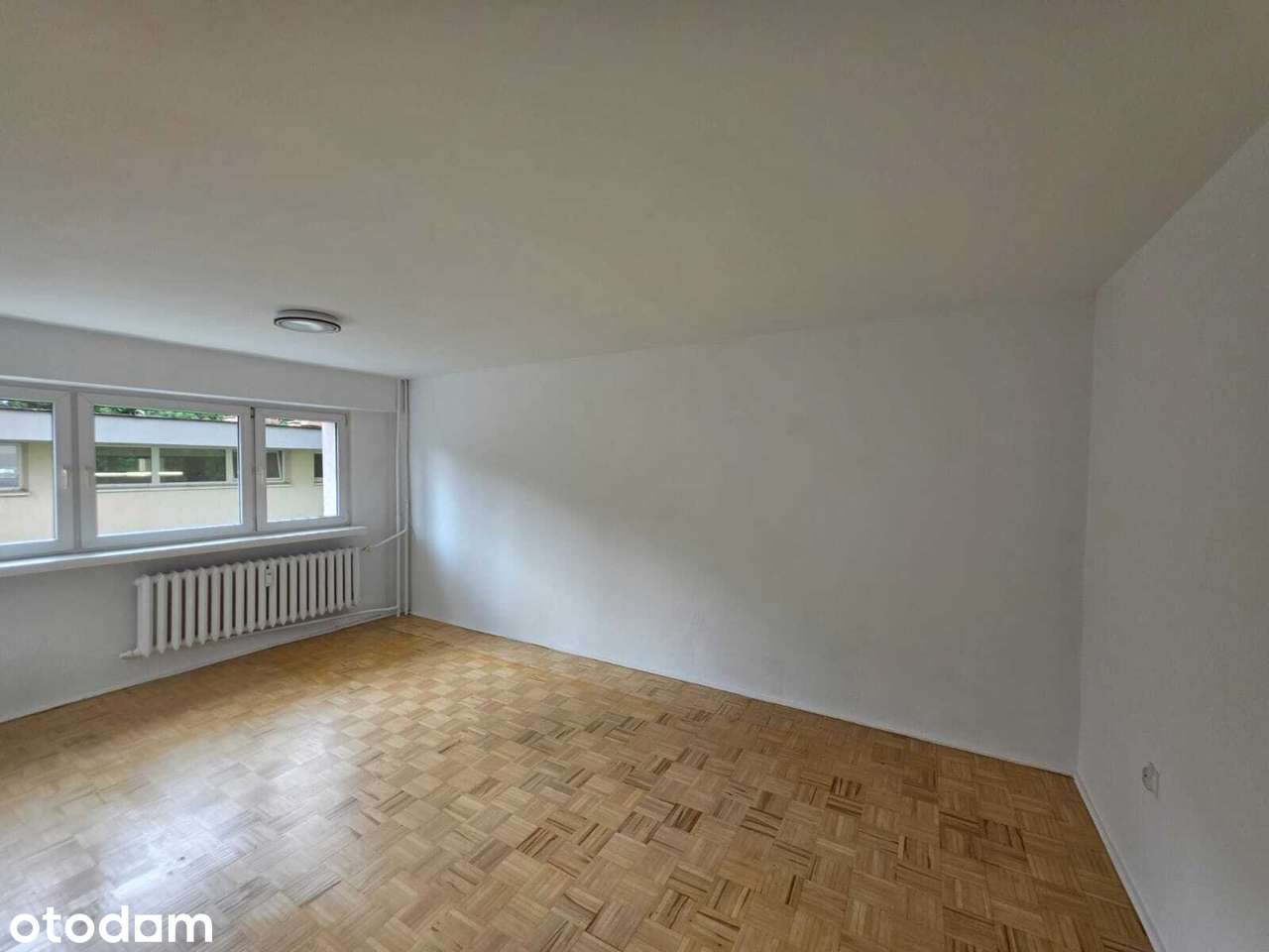 Duża piwnica 17 m² I 2 pokoje