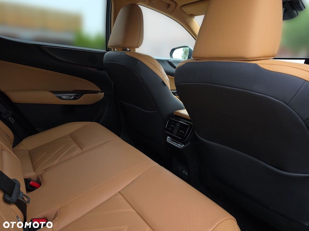 Lexus NX - 32