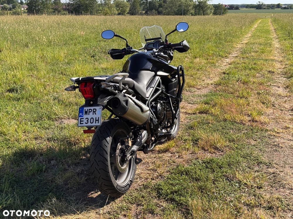 Triumph Tiger - 5