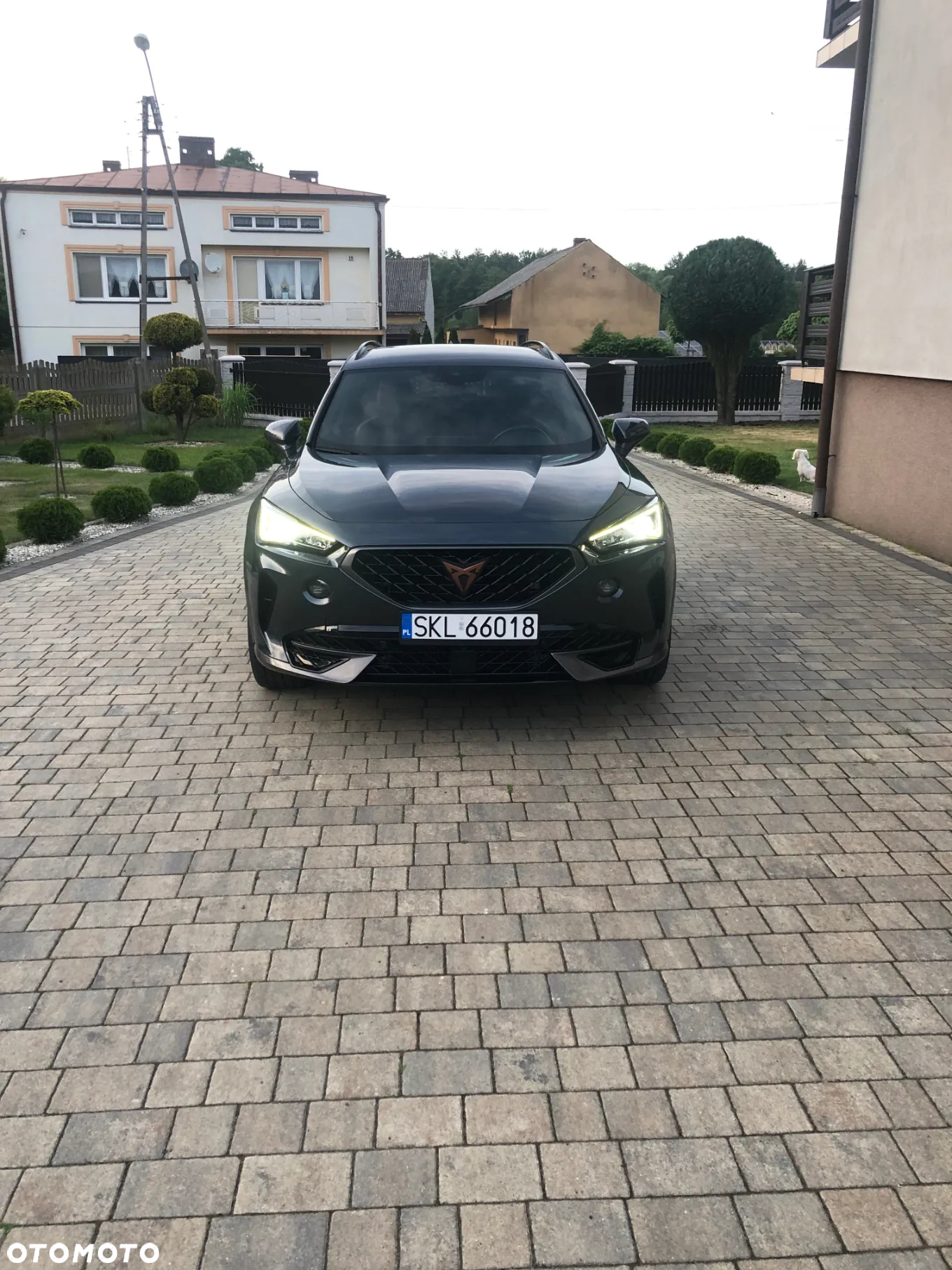 Cupra Formentor 1.5 TSI - 20