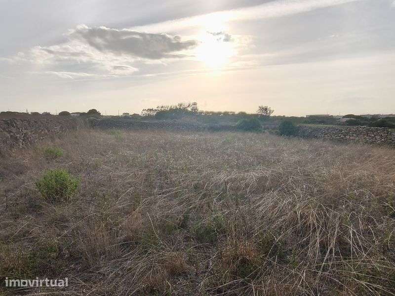 Terreno murado São João das Lampas - Grande imagem: 3/6