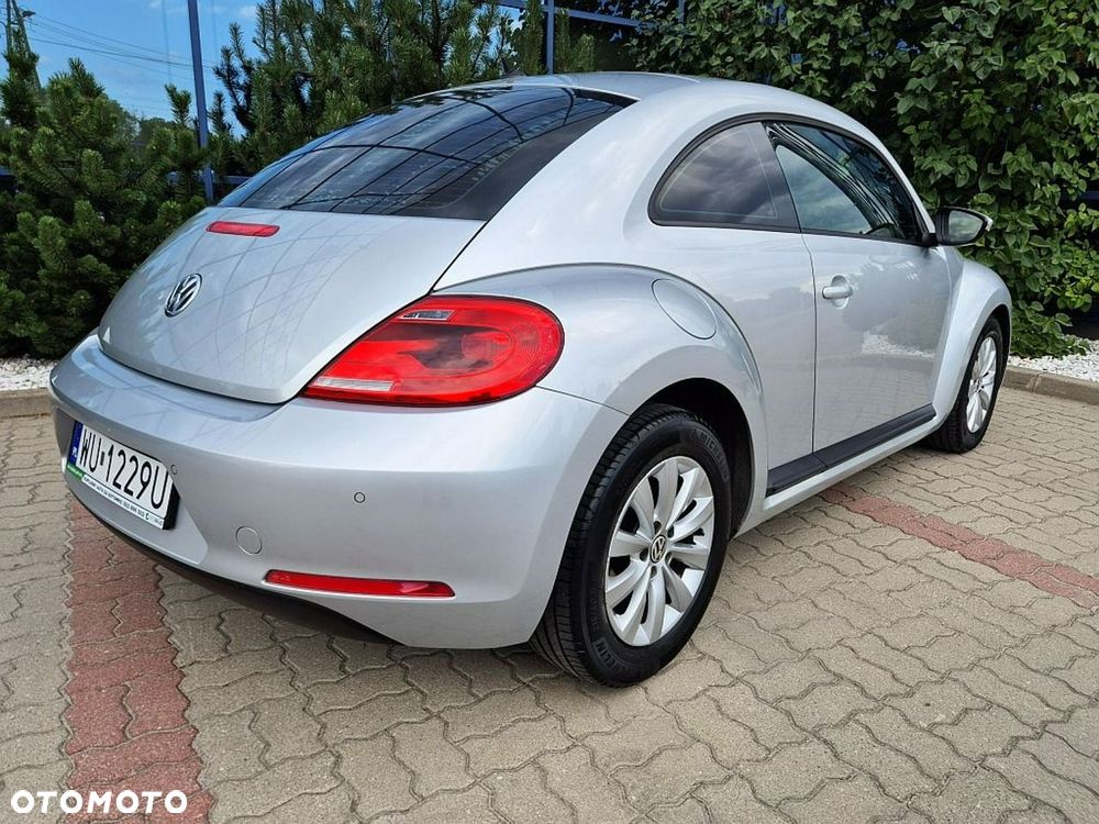 Volkswagen Beetle - 18