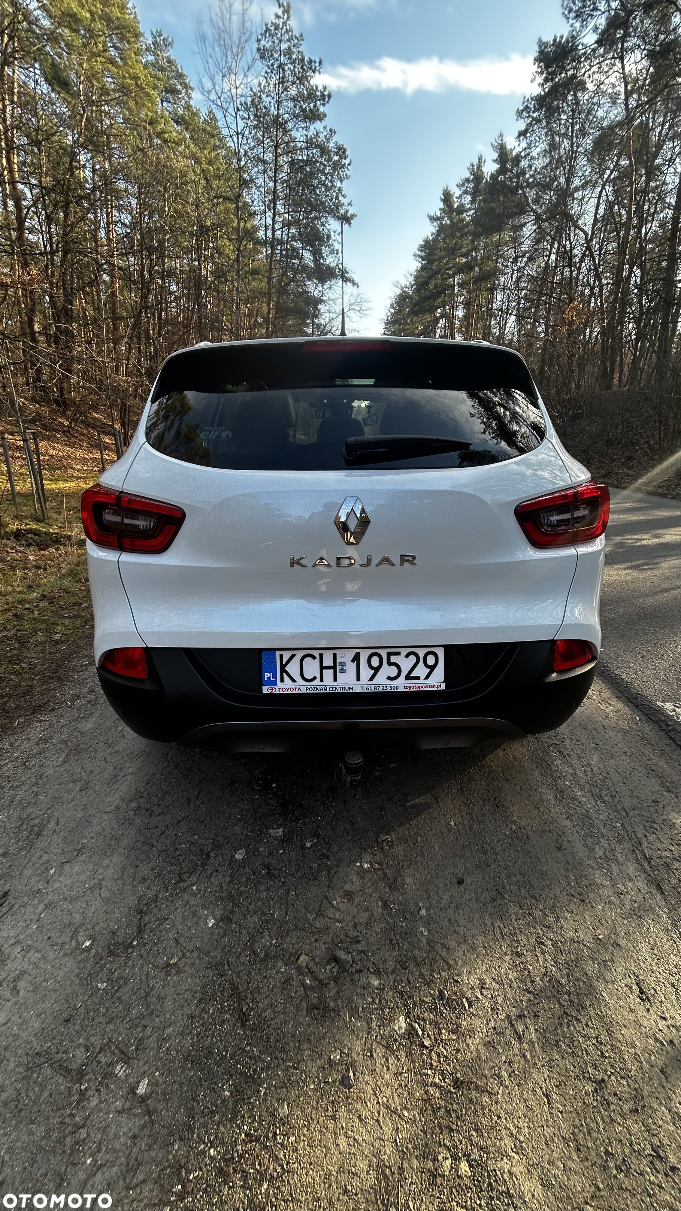 Renault Kadjar 1.2 Energy TCe Limited - 13
