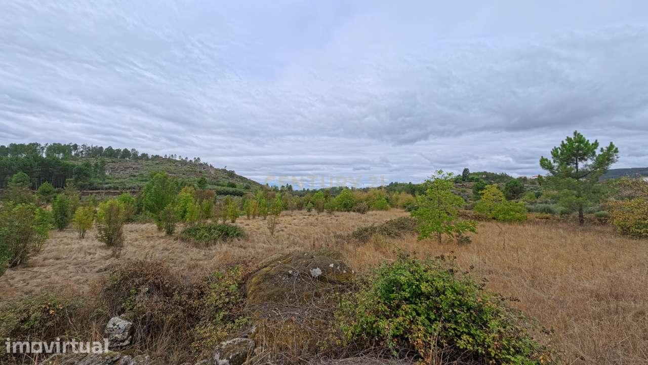 Quinta com 35.000 m² e casa de pedra em Figueiró da Granja - Fornos d - Grande imagem: 5/12