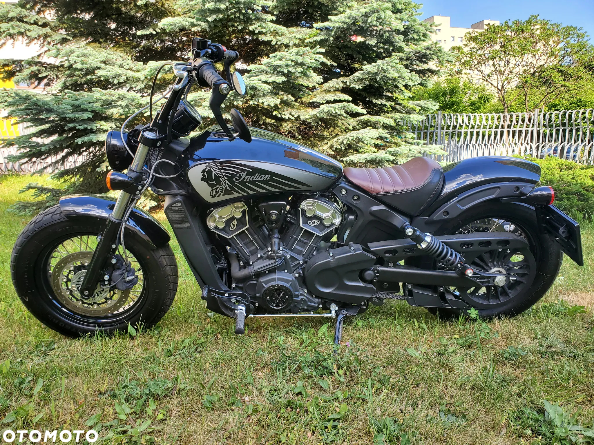 Indian Scout - 11