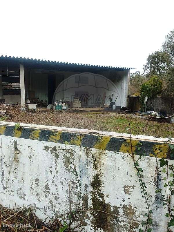 Armazém  para venda - Grande imagem: 3/11