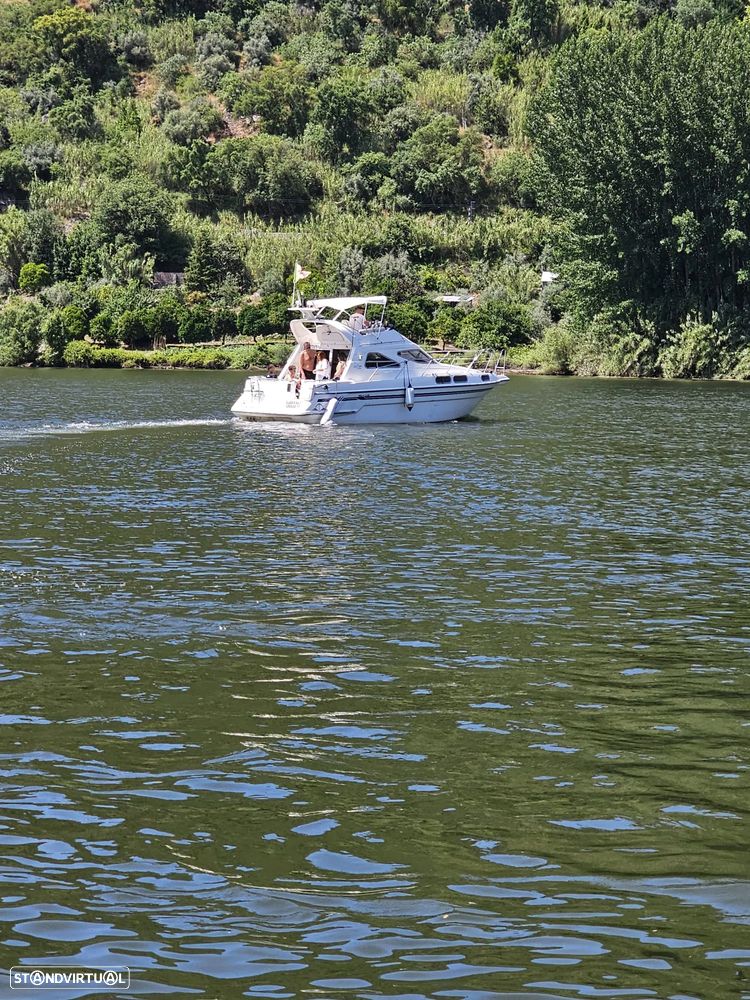 Sealine 310 STATESMAN - 7