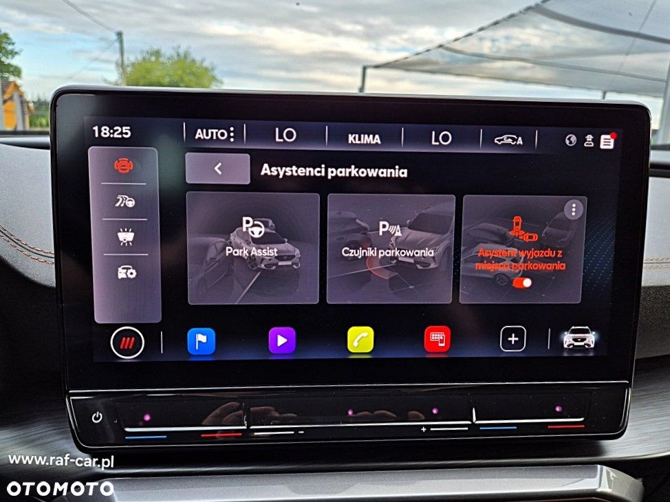 Cupra Formentor 2.0 TSI 4Drive DSG - 24