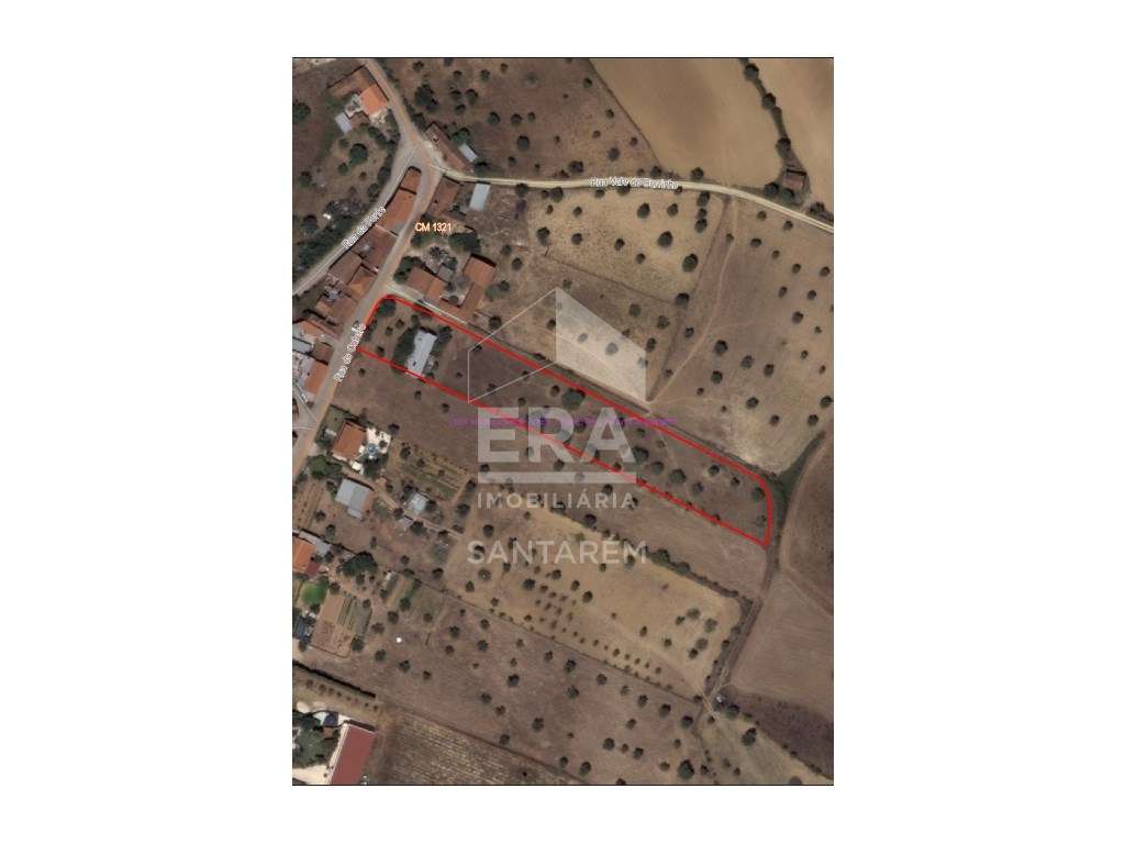 Terreno com 4920m2 para Construção de Moradia - Grande imagem: 4/4