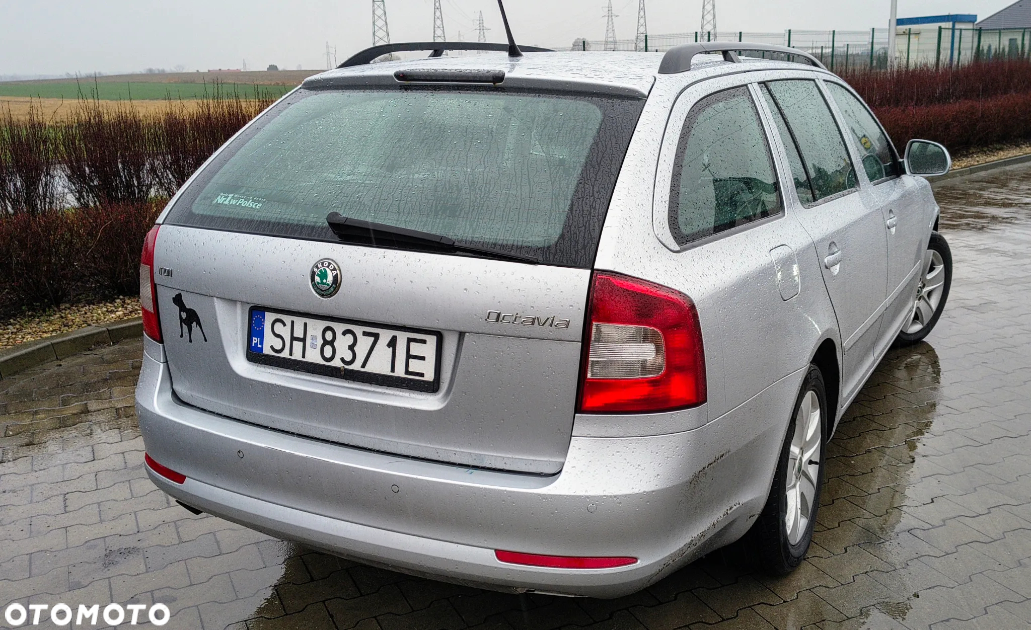 Skoda Octavia 1.6 TDI Greenline - 4