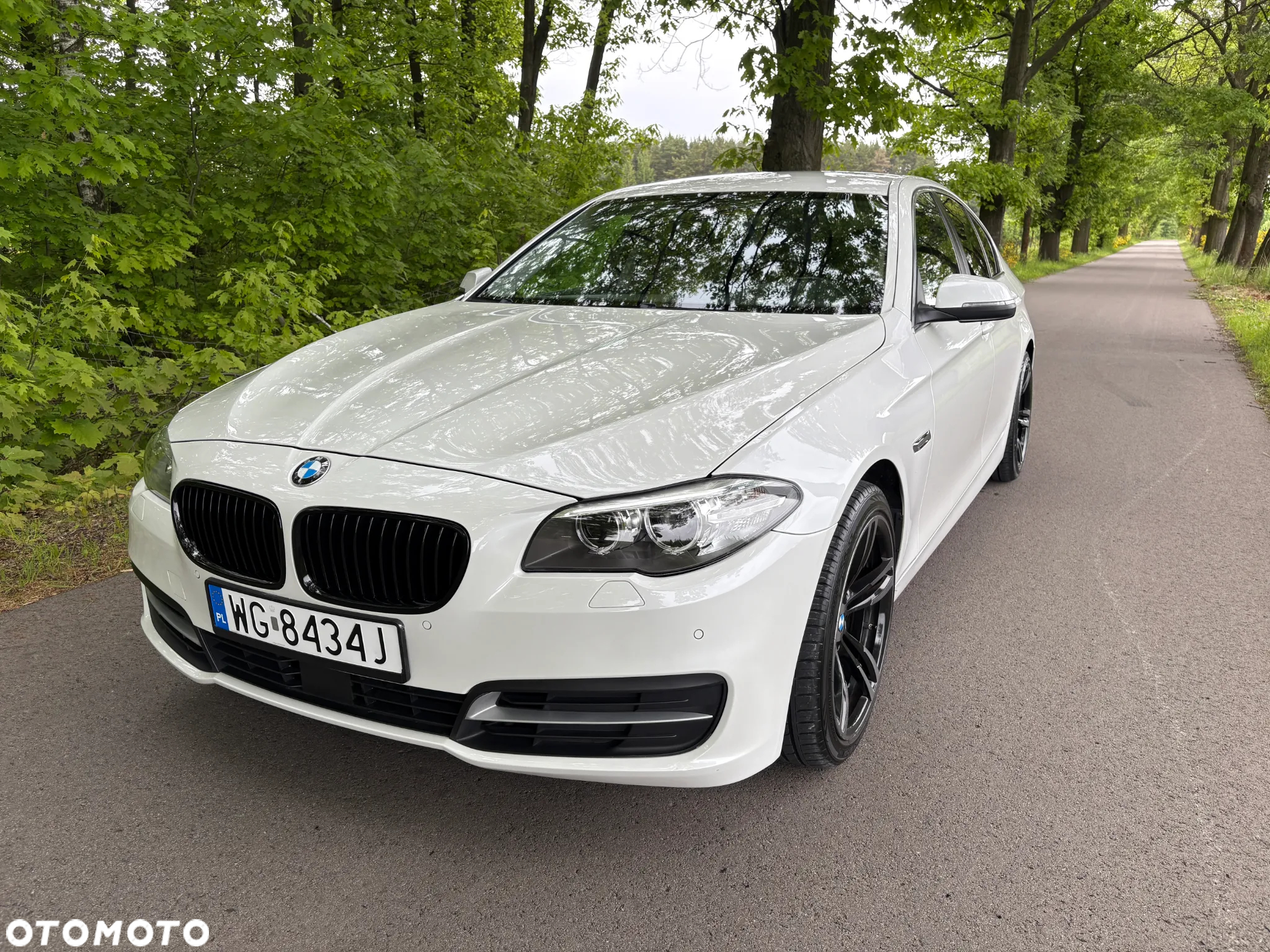 BMW Seria 5 520d - 13