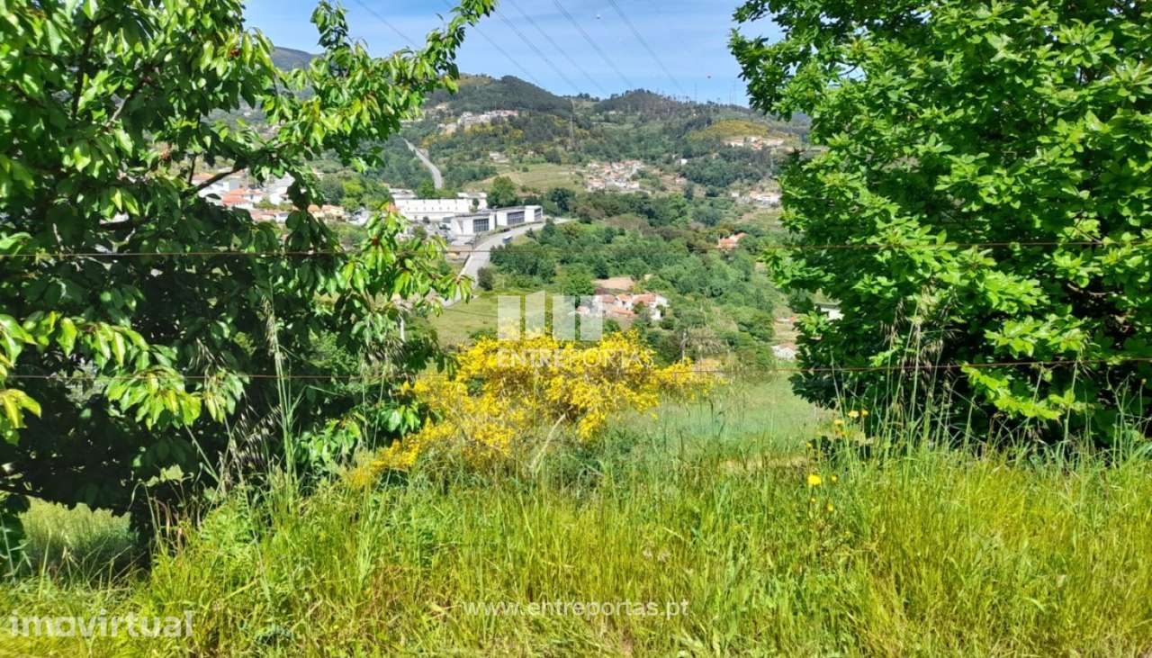 Venda Terreno Sta Marinha do Zezêre, Baião - Grande imagem: 2/34