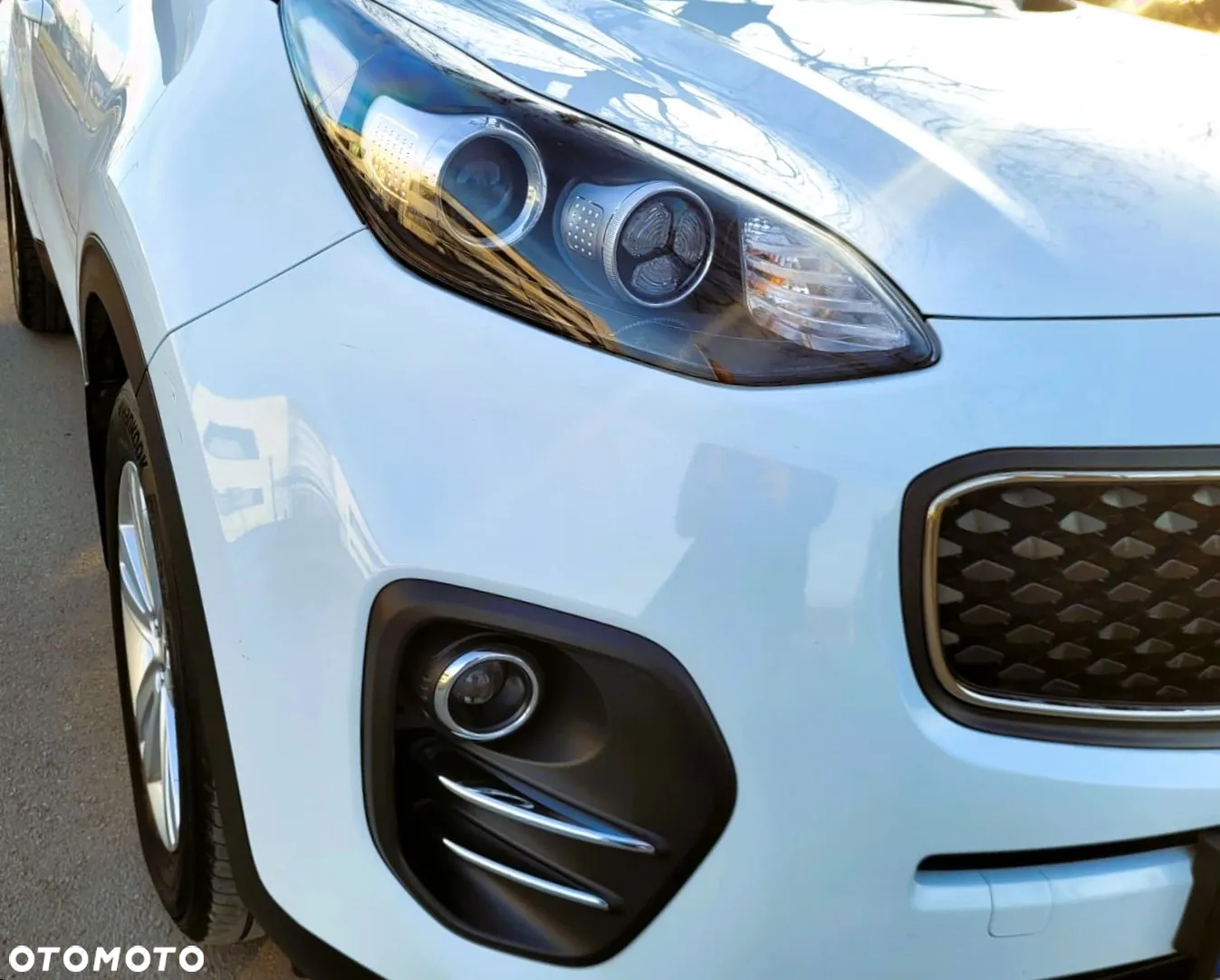 Kia Sportage - 17