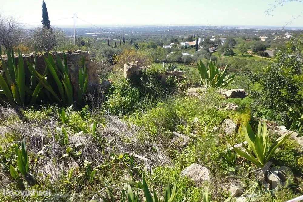 Land of 5622,40m2 with registered construction  and stunning views ove - Grande imagem: 2/9