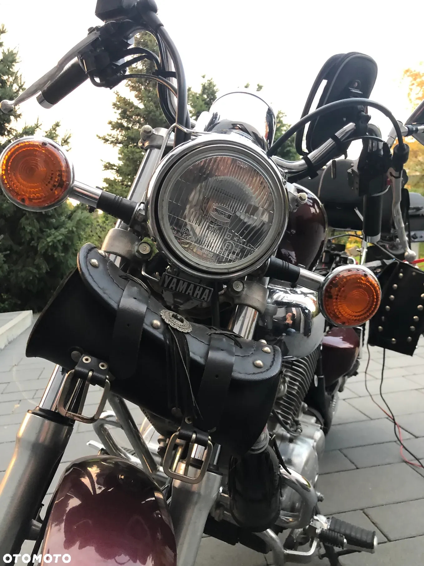 Yamaha Virago - 3