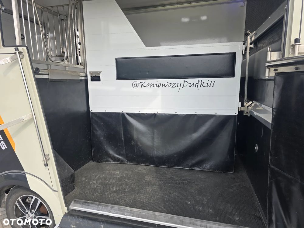 Opel Movano-Koniowóz - 23