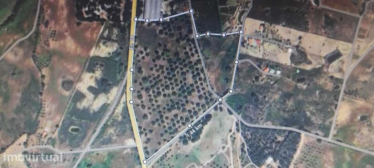 Quinta com habitação, poço, sobreiro, casa - Grande imagem: 3/15