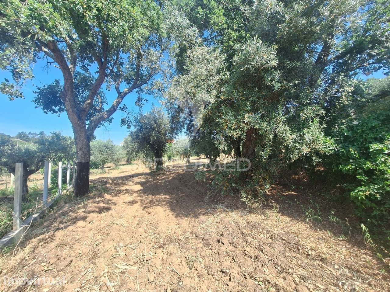 Terreno, Madeiras, Vila Nova da Barquinha - Grande imagem: 3/24