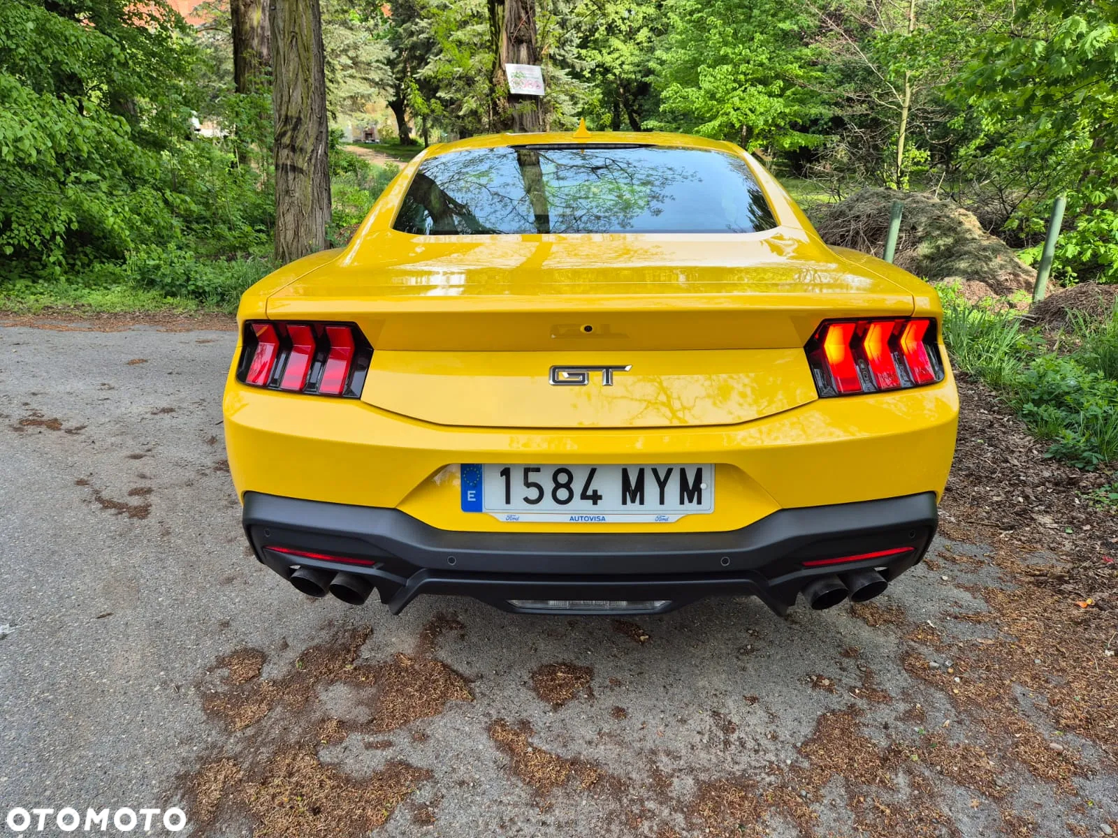 Ford Mustang Fastback 5.0 Ti-VCT V8 GT - 25
